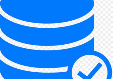 Database Audit